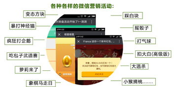 云亞爆炸式微信營銷軟件 型號、功能與購買指南