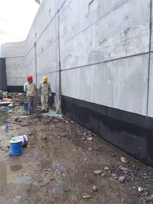 寧國防水補漏 金牌商家，20年質保讓建筑告別滲漏煩惱